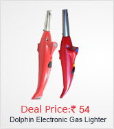 Dolphin Electronic Gas Lighter with Led Torch