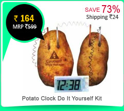 Potato Clock Do It Yourself Kit Science Series Rs. 164