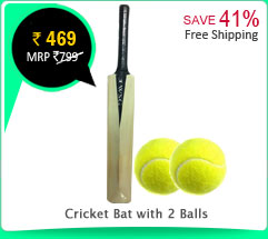 Cricket Bat with 2 Balls