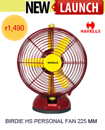 HAVELLS Birdie HS Personal Fan 225 mm