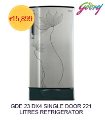 Godrej GDE 23 DX4 Single Door 221 Litres Refrigerator (Garden Silver)