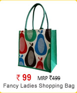 Fancy Ladies Shopping Bag