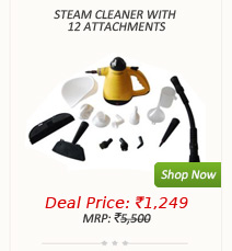 Steam Cleaner