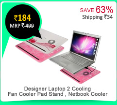 Designer Laptop 2 Cooling Fan Cooler Pad Stand , Netbook Cooler