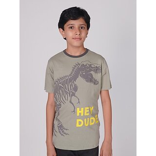 Modern Data - Not - Present Radprix Boys Printed Pure Cotton T Shirt (Green, Pack Of 1) 2025 at 
