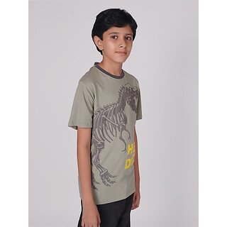 Modern Data - Not - Present Radprix Boys Printed Pure Cotton T Shirt (Green, Pack Of 1) 2025 at 
