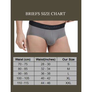 Best Men AshleyandAlvis Men Brief  (Pack Of 2) 2025 at ShopCircuit | ONDC