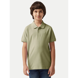 Modern Data - Not - Present Boys Green Plain Polo T-shirt 2025 at ShopCircuit | ONDC