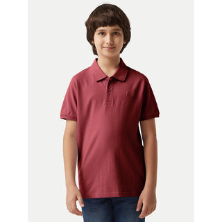 Chic Kids Plain Polo T-shirt 2025 at ShopCircuit | ONDC